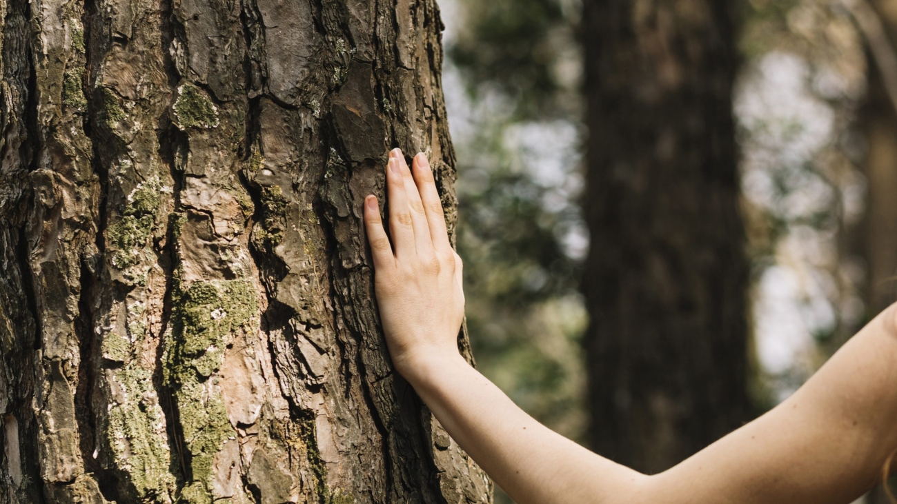 woman-touching-tree-with-hand-1