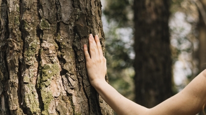 woman-touching-tree-with-hand-1