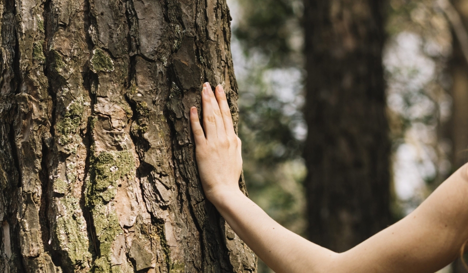 woman-touching-tree-with-hand-1
